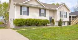 Homes for Sale in Kearney, MO 64060 | 310 E 22nd Street