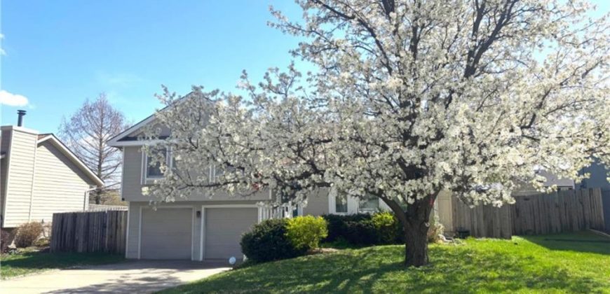 Homes for Sale in Kansas City, MO 64119 | 7109 N Crystal Avenue