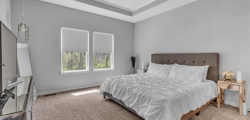 Homes for Sale in Parkville, MO 64152 | 16123  Giorgia Street