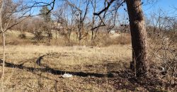 Homes for Sale in Kansas City, MO 64117 | 3933 N Lister Avenue