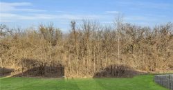 Homes for Sale in Platte City, MO 64079 | 12945 NW Oakview Drive