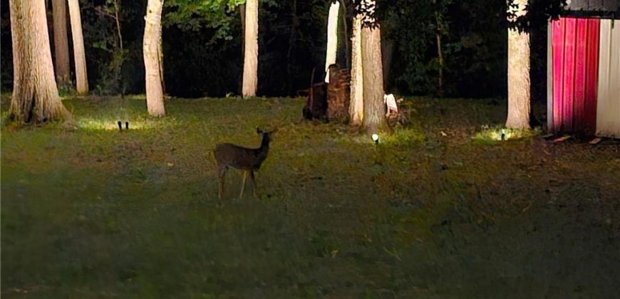 Homes for Sale in Liberty, MO 64068 | 1476  Hemlock Drive