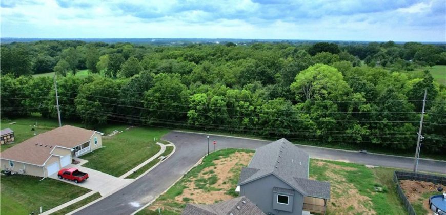 Homes for Sale in Excelsior Springs, MO 64024 | 2228  Corbin Court