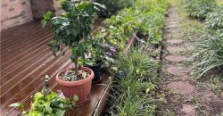 Homes for Sale in Excelsior Springs, MO 64024 | 507 N Kimball Street