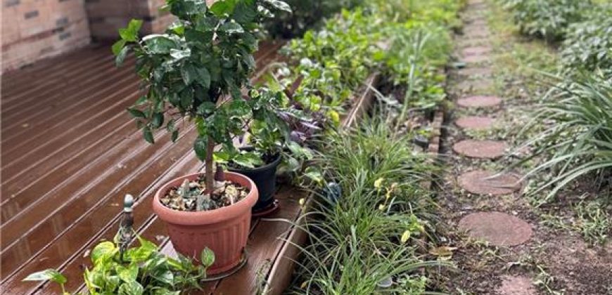 Homes for Sale in Excelsior Springs, MO 64024 | 507 N Kimball Street