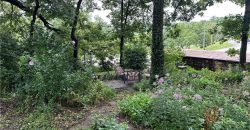 Homes for Sale in Excelsior Springs, MO 64024 | 507 N Kimball Street