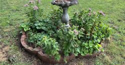 Homes for Sale in Excelsior Springs, MO 64024 | 507 N Kimball Street