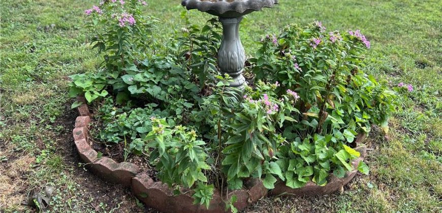 Homes for Sale in Excelsior Springs, MO 64024 | 507 N Kimball Street