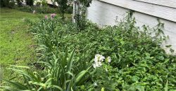 Homes for Sale in Excelsior Springs, MO 64024 | 507 N Kimball Street