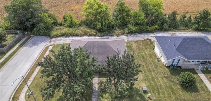 Homes for Sale in Platte City, MO 64079 | 1857  WILKERSON Street