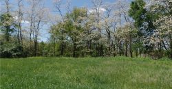 Homes for Sale in Kansas City, MO 64154 | 9121 NW Old Stagecoach Road