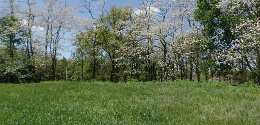 Homes for Sale in Kansas City, MO 64154 | 9121 NW Old Stagecoach Road