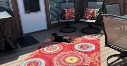 Homes for Sale in Kansas City, MO 64157 | 8830 N Glenwood Avenue