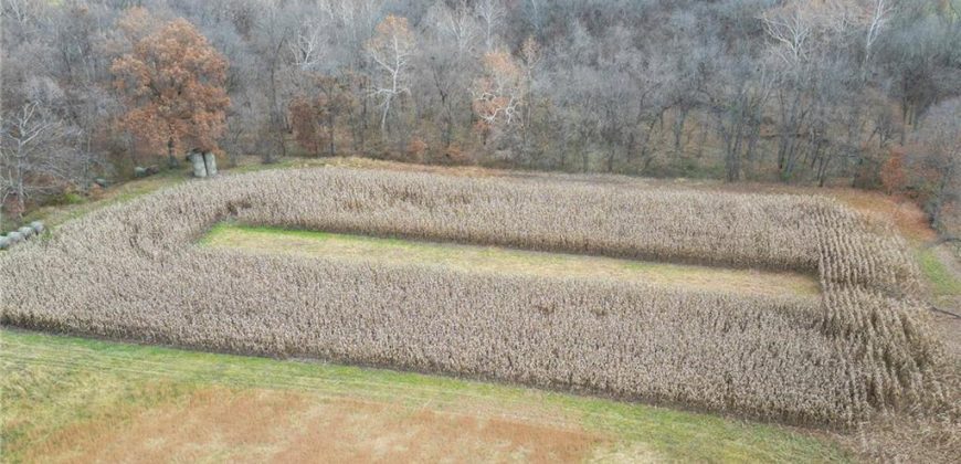 Homes for Sale in Smithville, MO 64089 | 7803 NE 160th Terrace