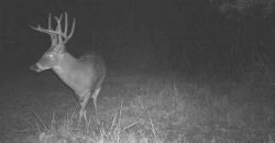 Homes for Sale in Smithville, MO 64089 | 7803 NE 160th Terrace