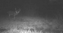 Homes for Sale in Smithville, MO 64089 | 7803 NE 160th Terrace