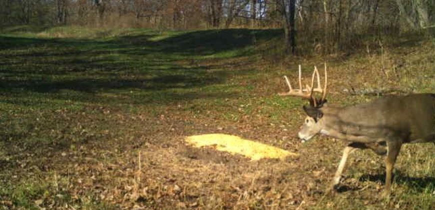 Homes for Sale in Smithville, MO 64089 | 7803 NE 160th Terrace