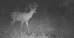 Homes for Sale in Smithville, MO 64089 | 7803 NE 160th Terrace