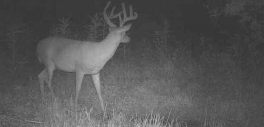 Homes for Sale in Smithville, MO 64089 | 7803 NE 160th Terrace