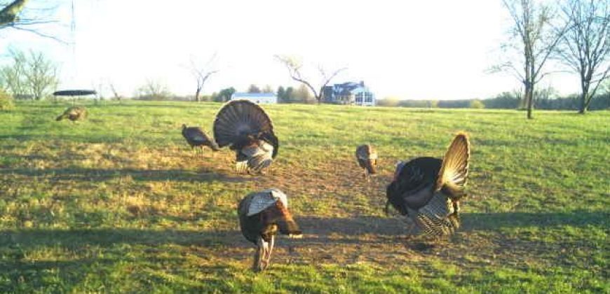 Homes for Sale in Smithville, MO 64089 | 7803 NE 160th Terrace