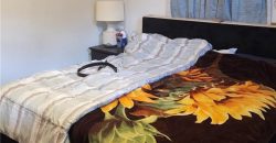 Homes for Sale in Kansas City, MO 64116 | 1001 NE 45th Street