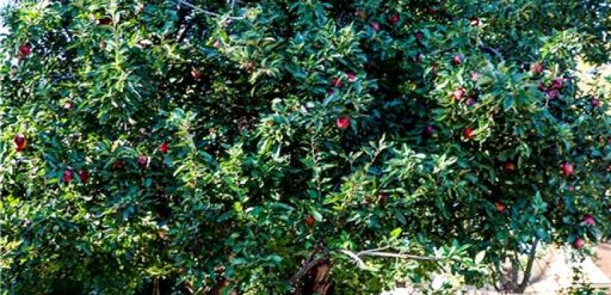 Homes for Sale in Kansas City, MO 64119 | 5814  Gunn Avenue