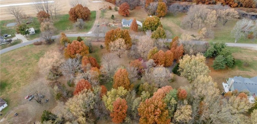 Homes for Sale in Kearney, MO 64060 | 16115  Kountryridge Drive