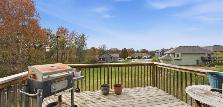 Homes for Sale in Excelsior Springs, MO 64024 | 2207  Ashford Street