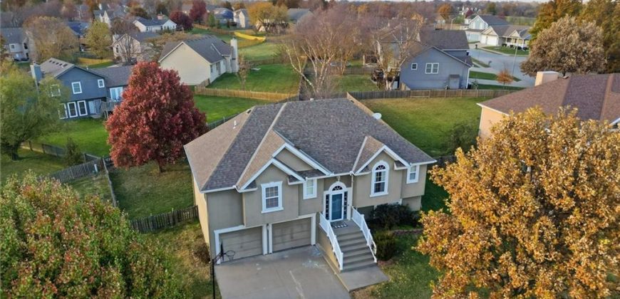 Homes for Sale in Kansas City, MO 64157 | 11004 N Hunter Avenue