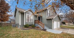 Homes for Sale in Kansas City, MO 64155 | 11264 N SUMMIT Street