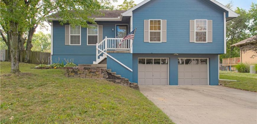 Homes for Sale in Excelsior Springs, MO 64024 | 1017  Rose Avenue