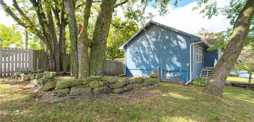 Homes for Sale in Excelsior Springs, MO 64024 | 1017  Rose Avenue