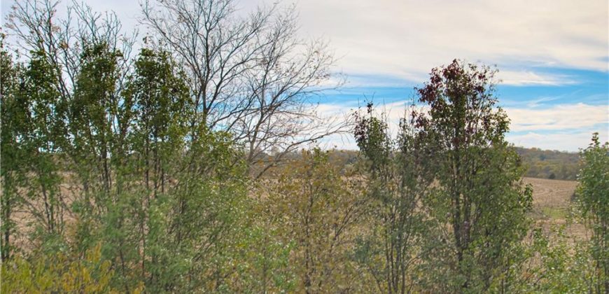 Homes for Sale in Platte City, MO 64079 | 1863  Wilkerson