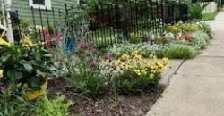 Homes for Sale in Liberty, MO 64068 | 402 N Leonard Street