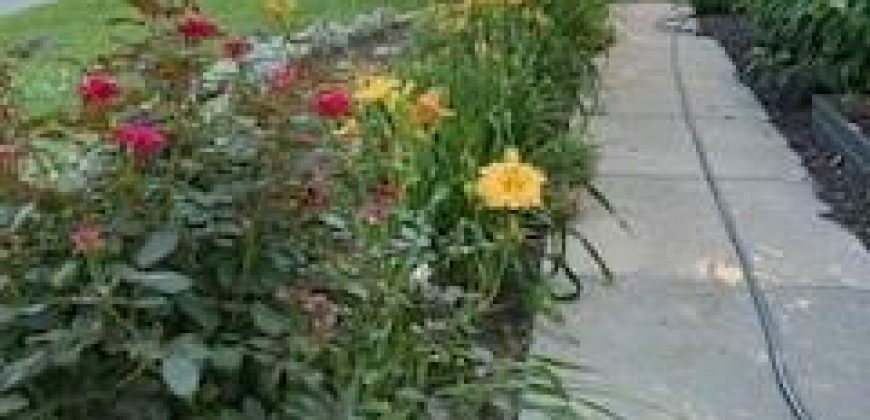 Homes for Sale in Liberty, MO 64068 | 402 N Leonard Street