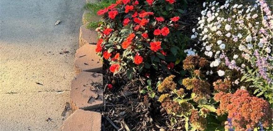 Homes for Sale in Liberty, MO 64068 | 402 N Leonard Street