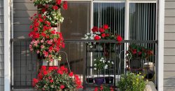 Homes for Sale in Kansas City, MO 64154 | 2651 NW Barry Road, Unit#102