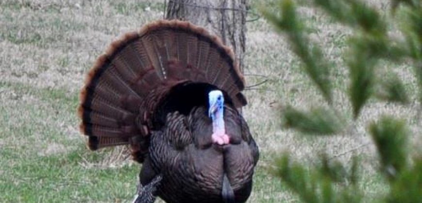 Homes for Sale in Kansas City, MO 64154 | 2651 NW Barry Road, Unit#102