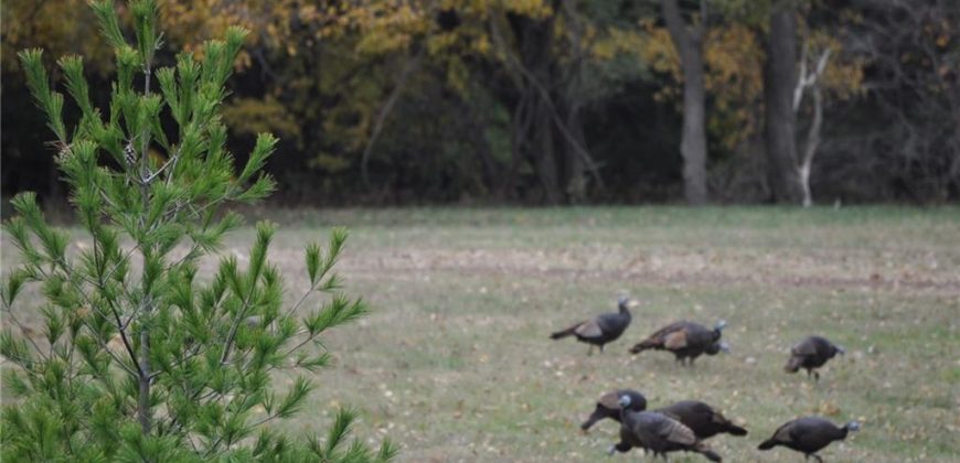 Homes for Sale in Kansas City, MO 64154 | 2651 NW Barry Road, Unit#102