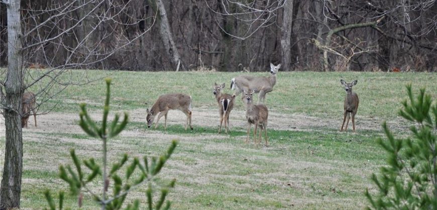 Homes for Sale in Kansas City, MO 64154 | 2651 NW Barry Road, Unit#102