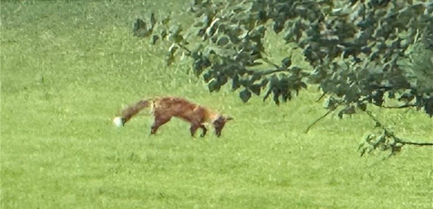 Homes for Sale in Kansas City, MO 64154 | 2651 NW Barry Road, Unit#102