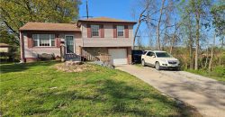 Homes for Sale in Kansas City, MO 64119 | 8212 NE 51st Street