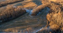 Homes for Sale in Platte City, MO 64079 | 14030  Ode Road