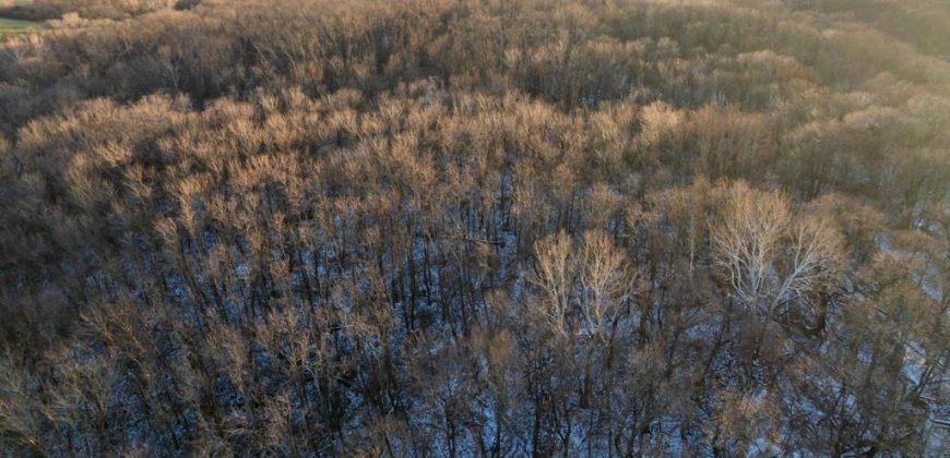 Homes for Sale in Platte City, MO 64079 | 14030  Ode Road