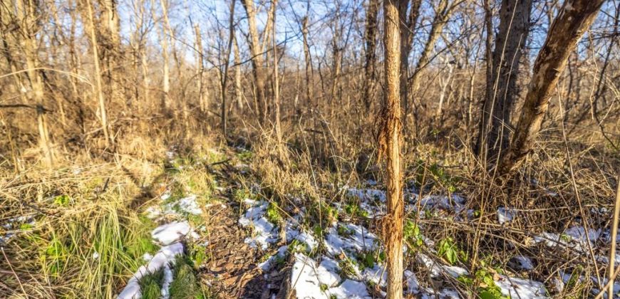 Homes for Sale in Platte City, MO 64079 | 14030  Ode Road