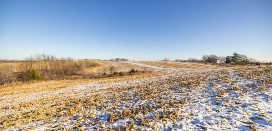 Homes for Sale in Platte City, MO 64079 | 14030  Ode Road