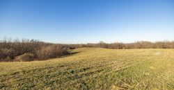 Homes for Sale in Platte City, MO 64079 | 14030  Ode Road