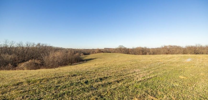 Homes for Sale in Platte City, MO 64079 | 14030  Ode Road