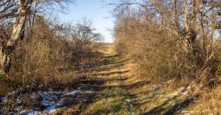 Homes for Sale in Platte City, MO 64079 | 14030  Ode Road