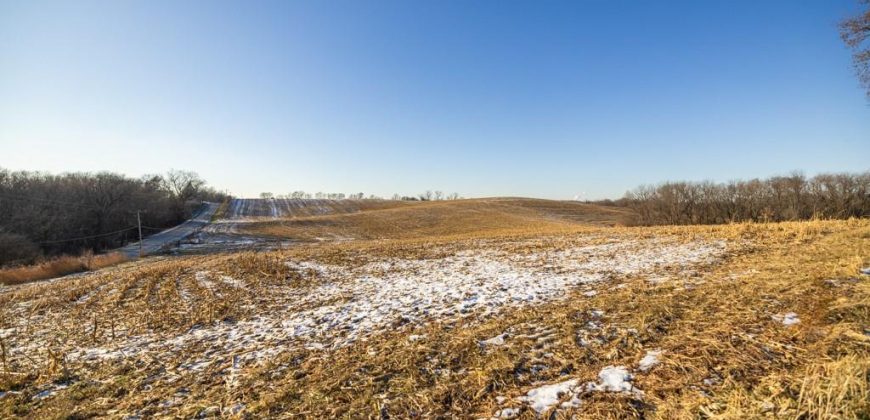 Homes for Sale in Platte City, MO 64079 | 14030  Ode Road